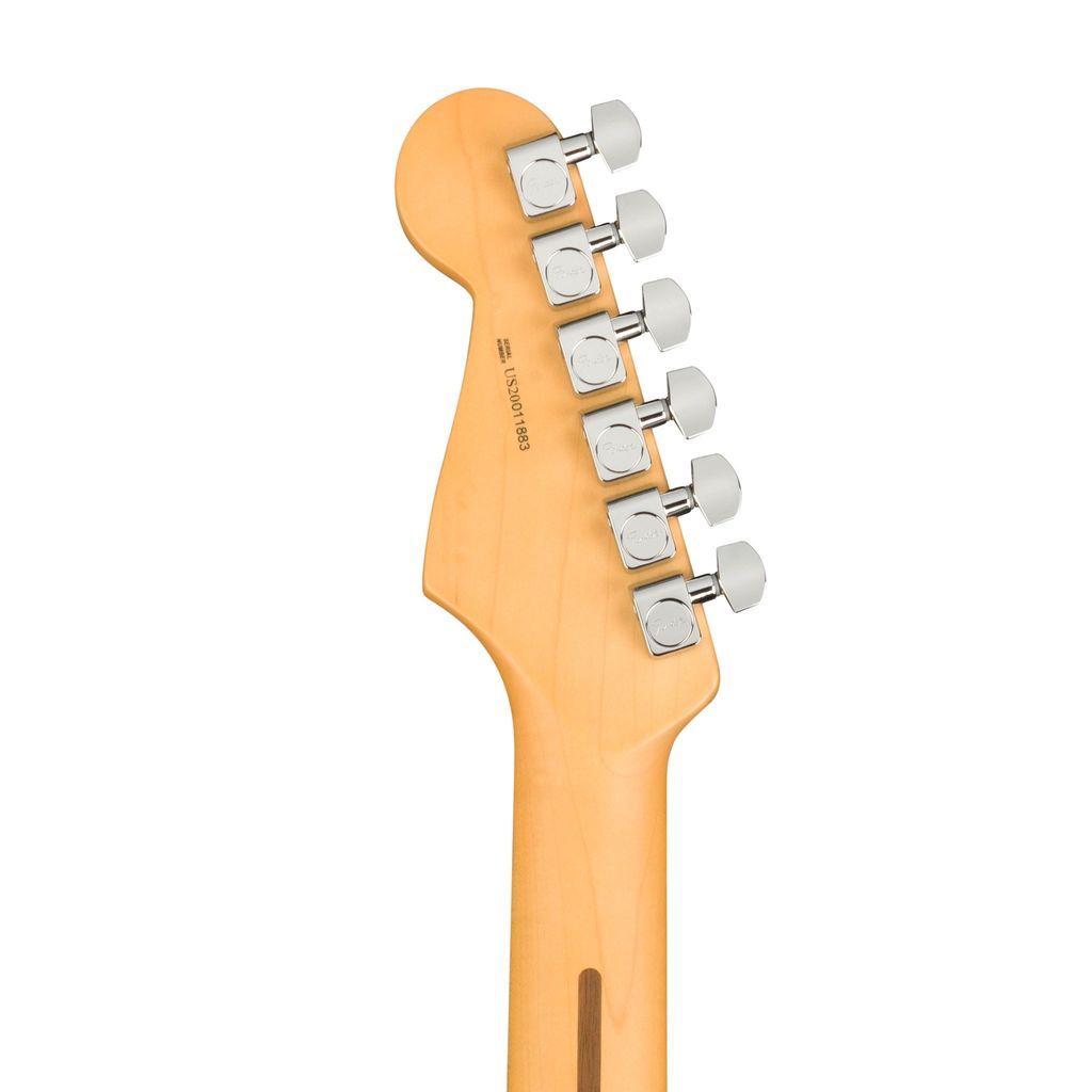 Fender 5.jpg