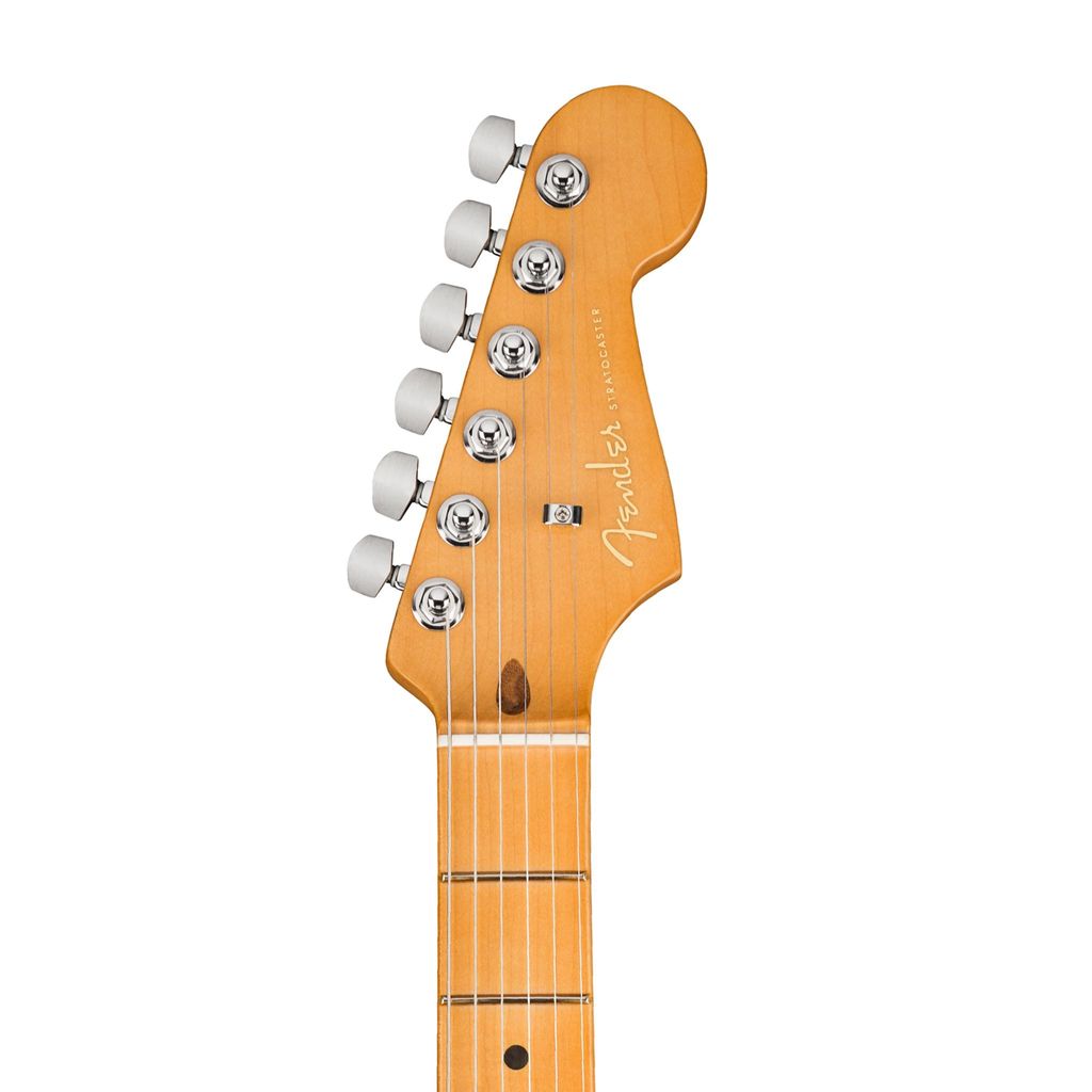 Fender 5.jpg