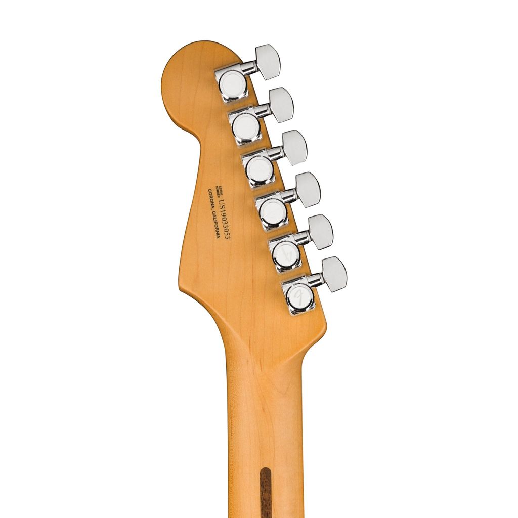 Fender 6.jpg