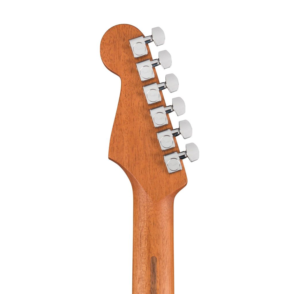 Fender 5.jpg