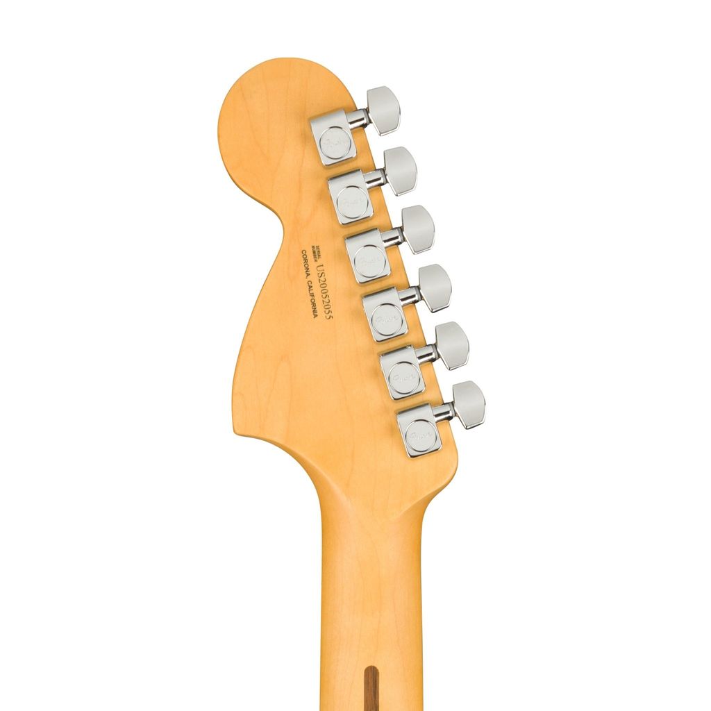 Fender 5.jpg