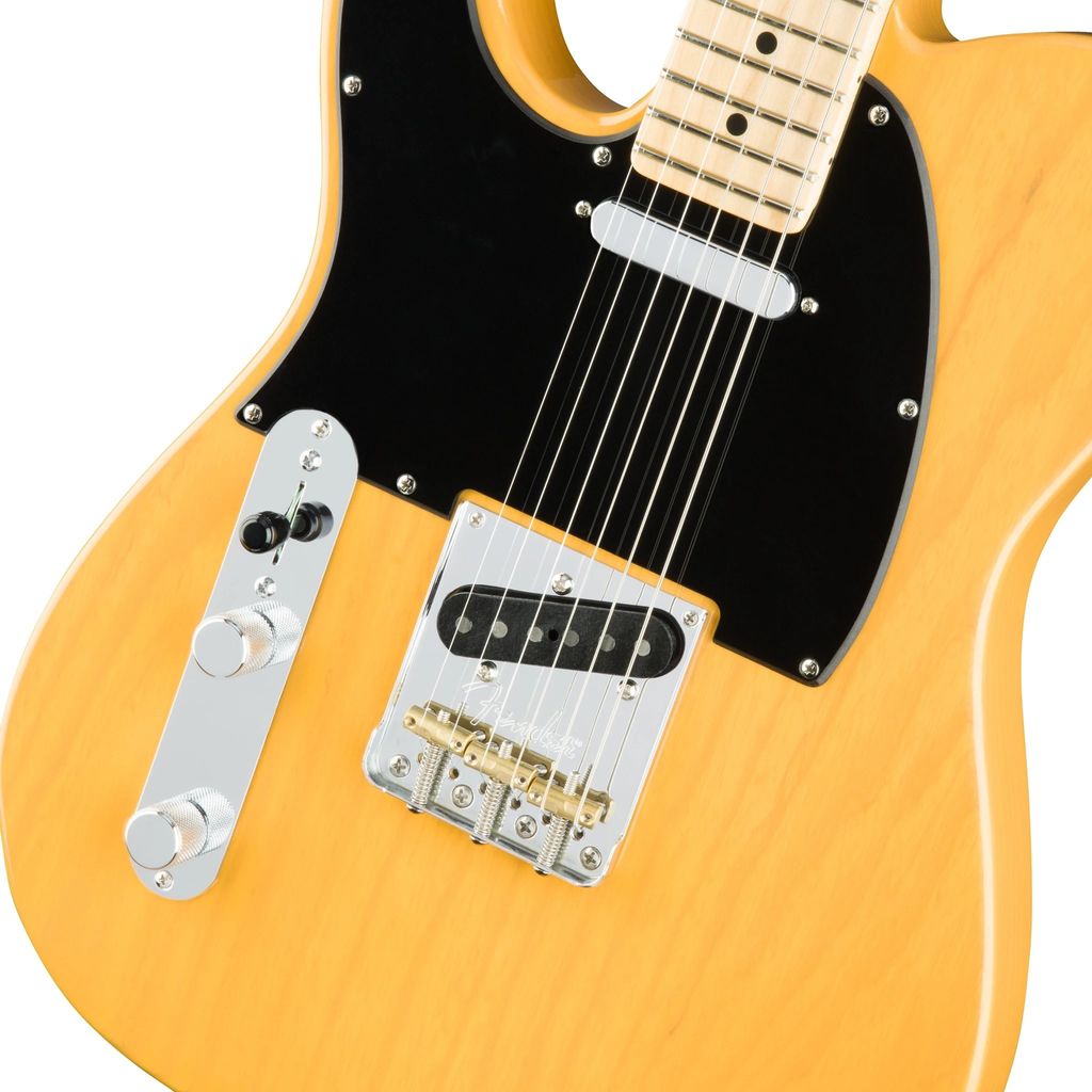 Fender 5.jpg