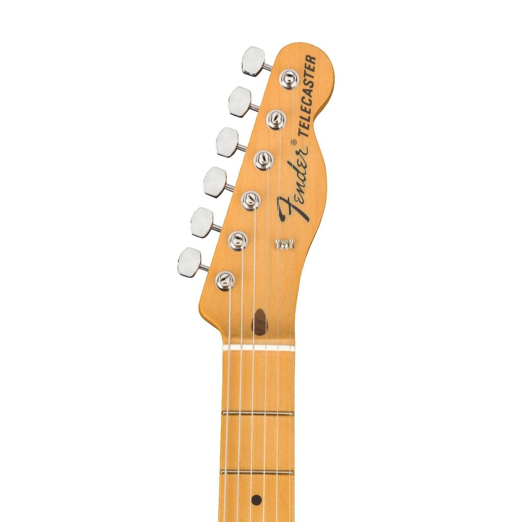 Fender 5.jpg