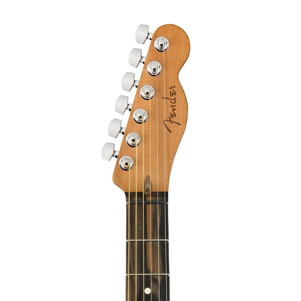 Fender 5.jpg