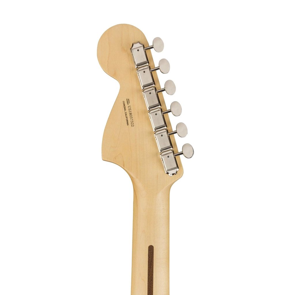 Fender 5.jpg