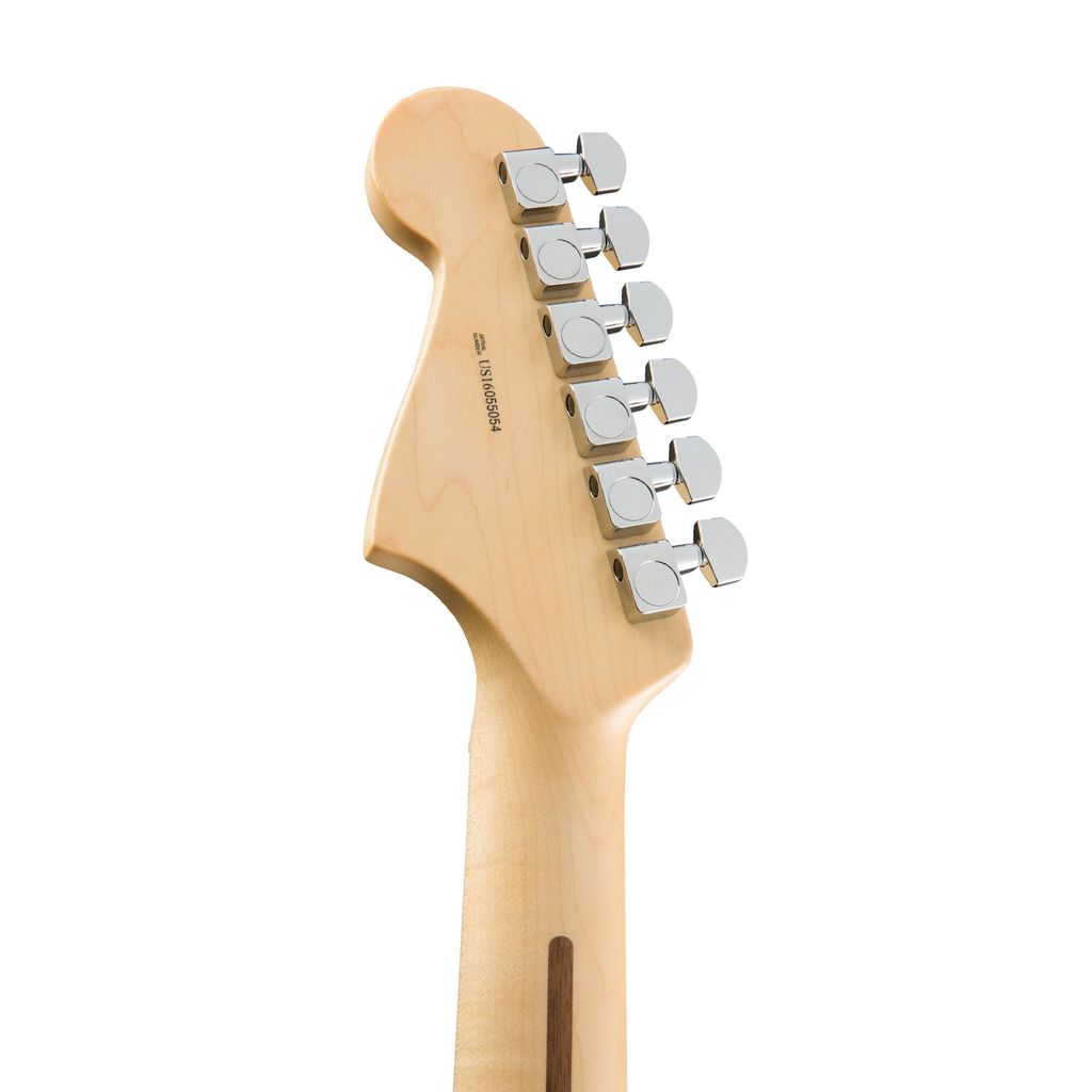 Fender 7.jpg