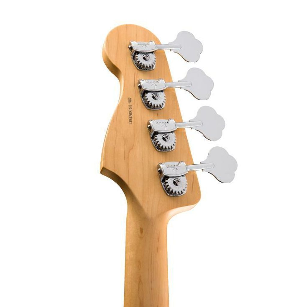 Fender 7.jpg