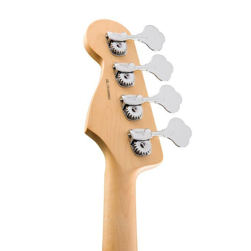 Fender 7.jpg