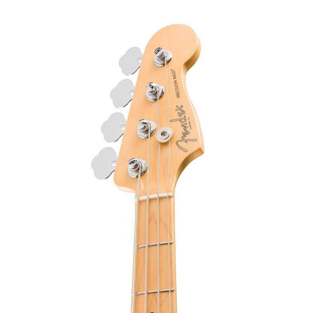 Fender 6.jpg