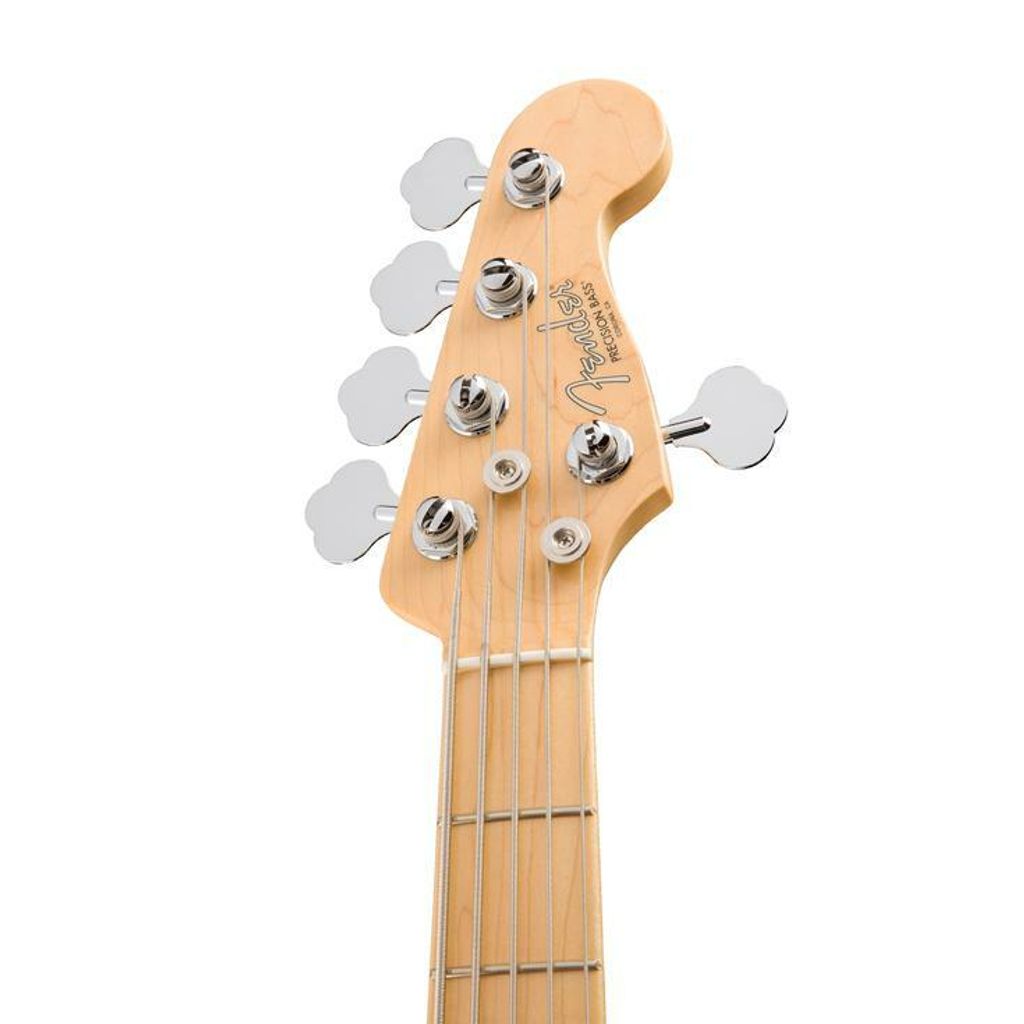 Fender 6.jpg