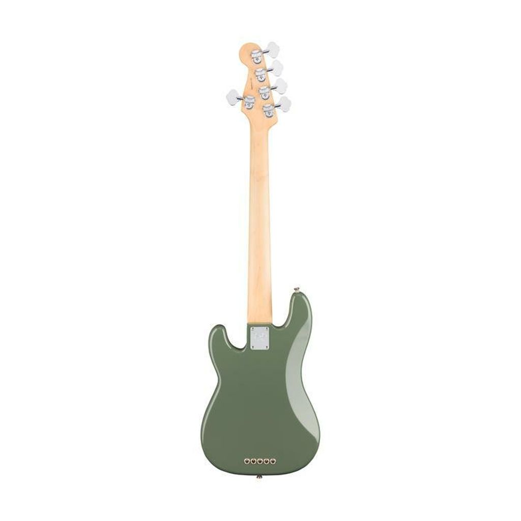 Fender 2.jpg