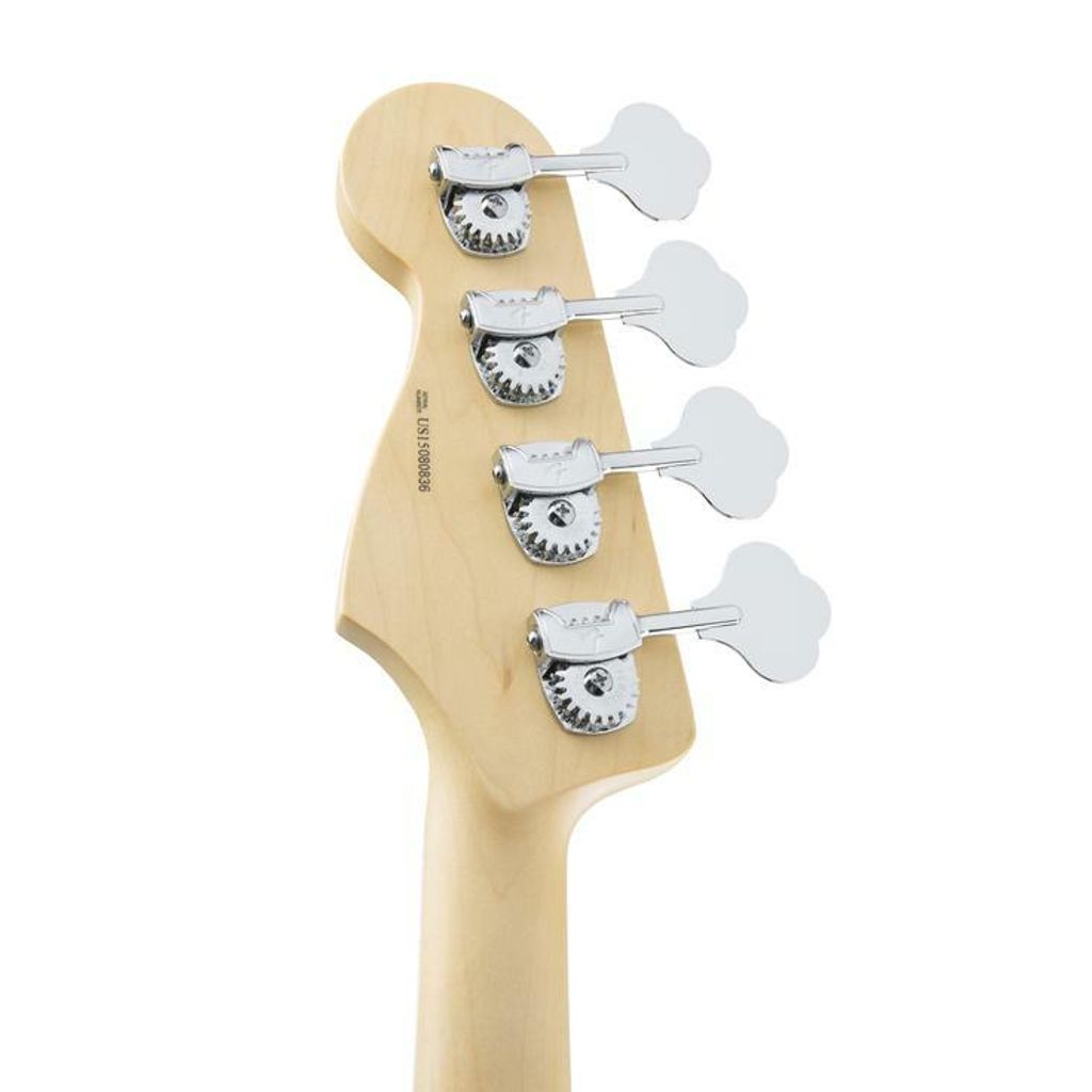 Fender 7.jpg