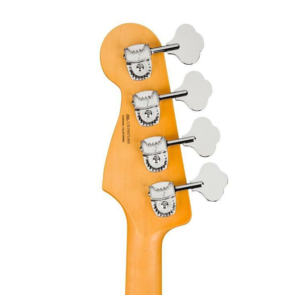 Fender 5.jpg