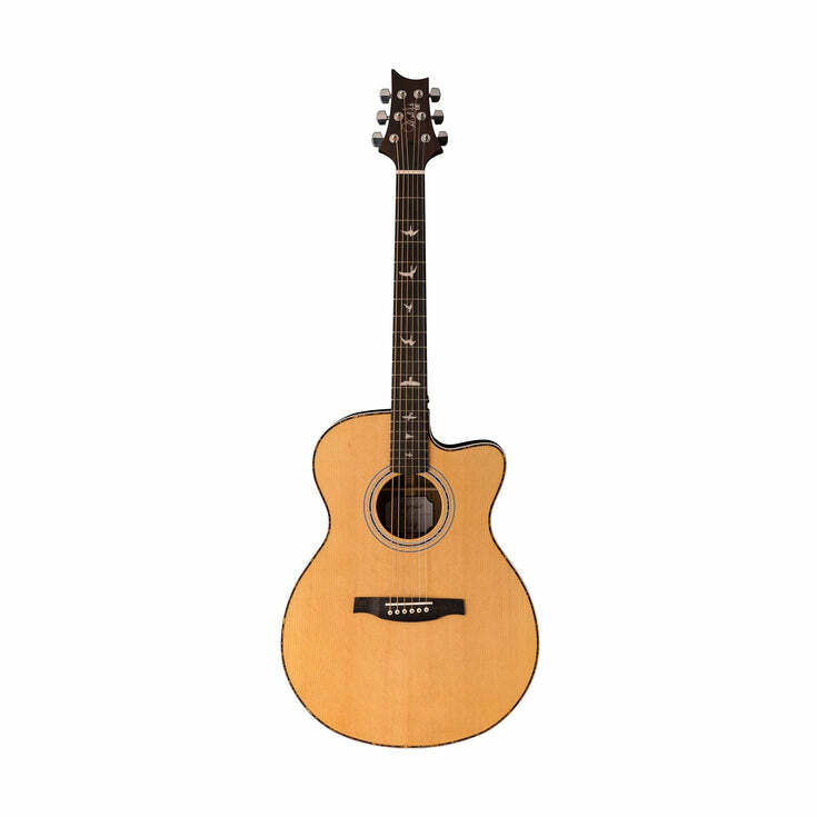 Hollow 2024 acoustic guitar