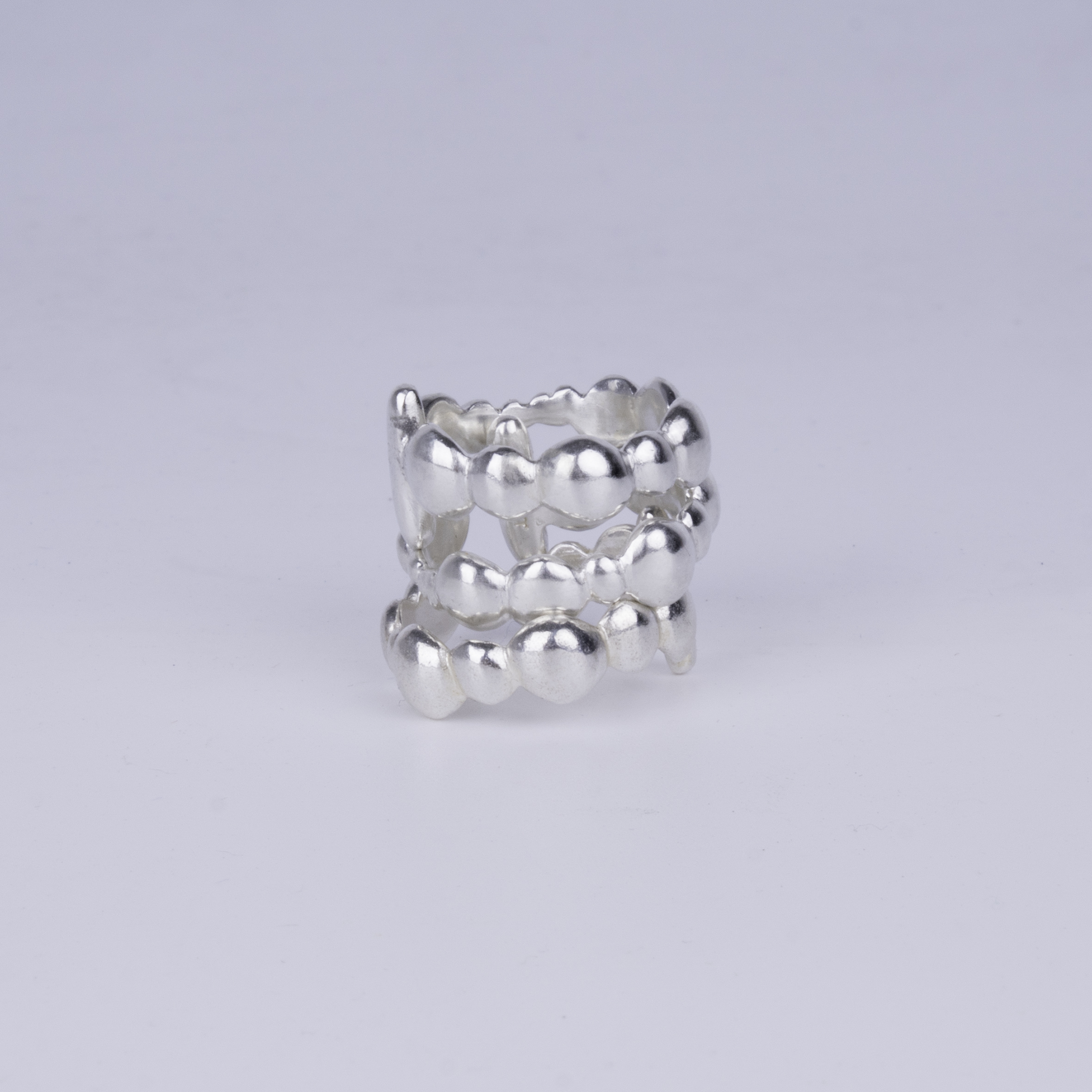 DSC08994-Edit 拷貝