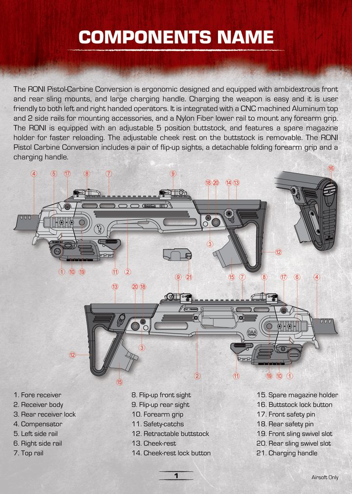 CAA RONI Manual 3.jpg