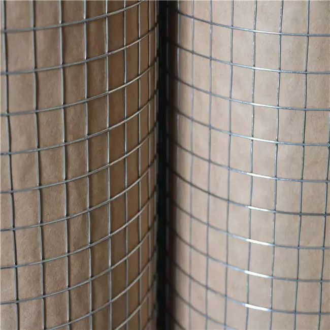 Galvanized Welded Wire Mesh 3