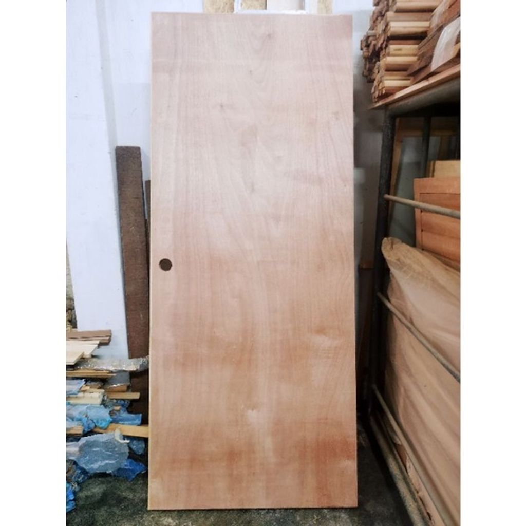 Plywood Door Biasa Kayu Pintu 1