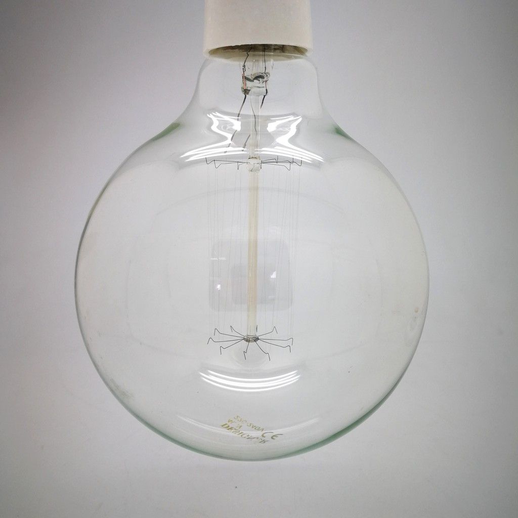 Designer Edison Bulb G95 40W (1)