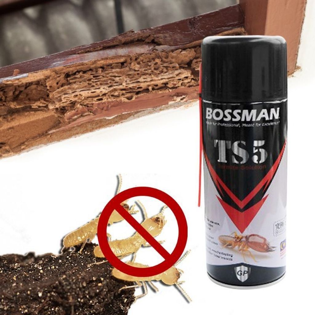 BOSSMAN TS5 Termites Foam  (3)