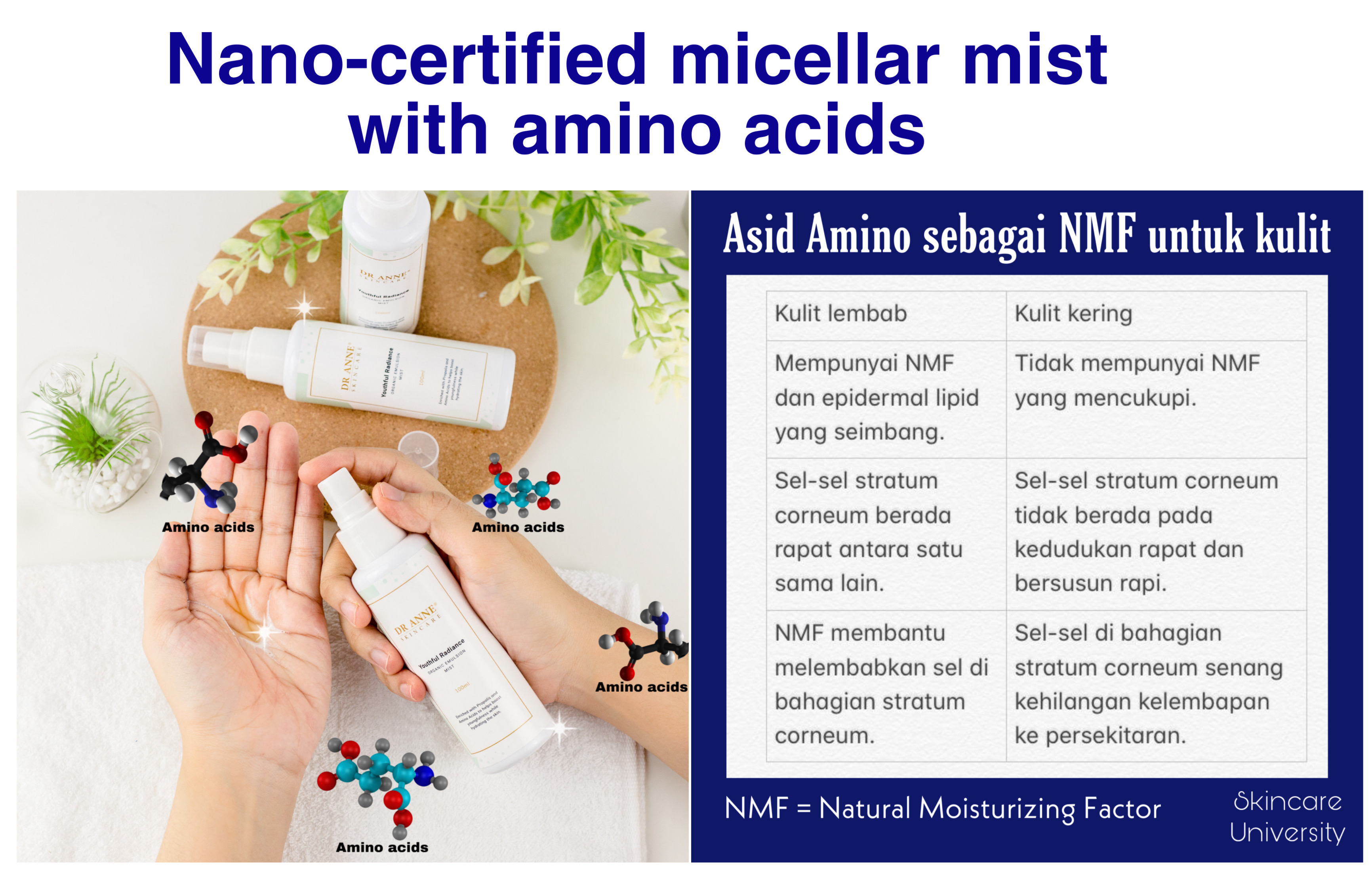 AMINO ACIDS DAN FUNGSINYA KEPADA KULIT