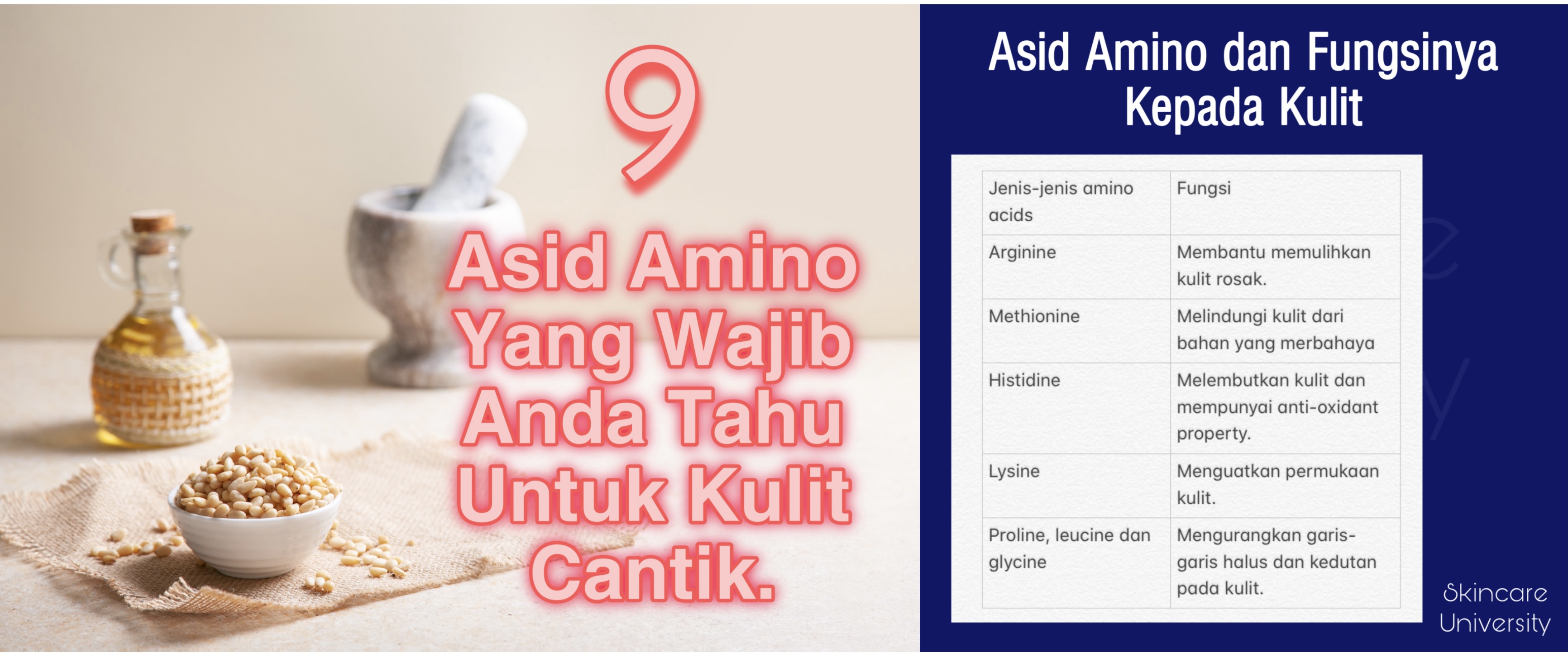 Asid Amino Dan Fungsinya Kepada Kulit