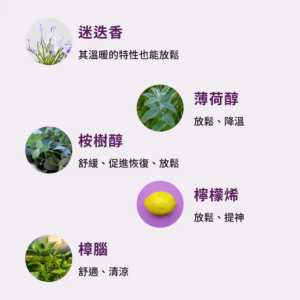 MADFORM 肌肉深層修護霜 (120ml)-內容介紹-5