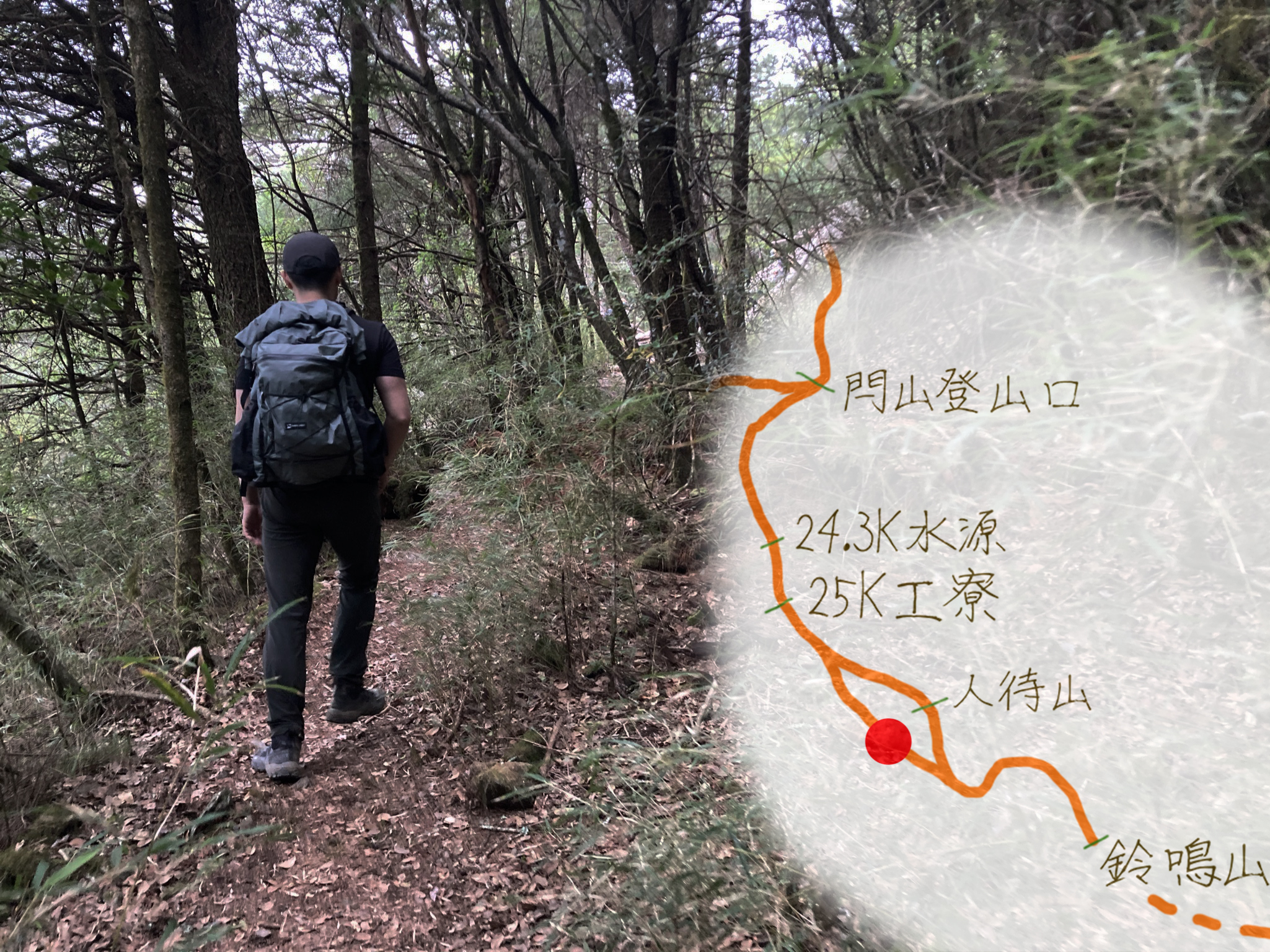 閂山鈴鳴-WEB-730林道.jpg