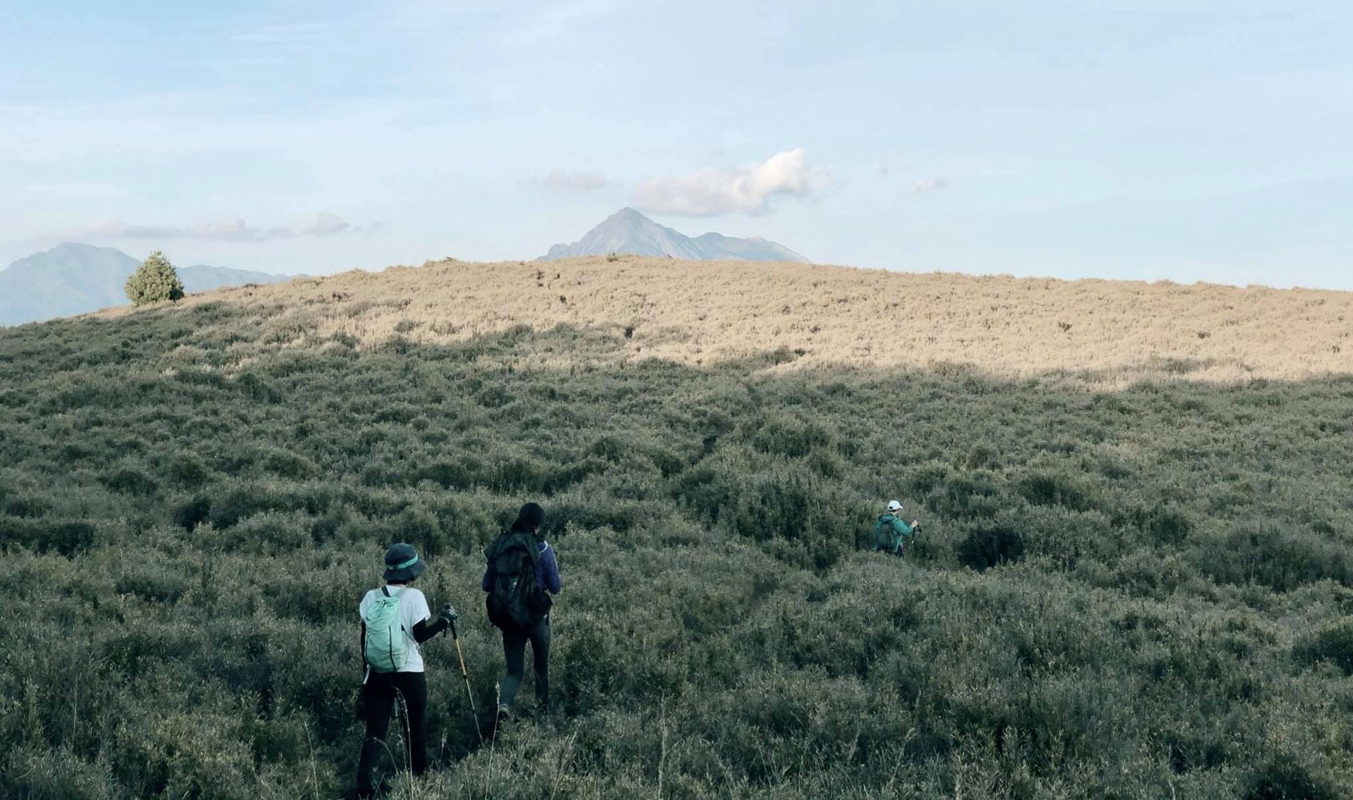 山旅戶外｜發掘山裡美好事物 - 北二段試水溫－閂山鈴鳴