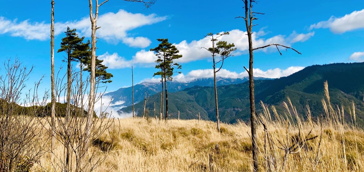 高山景色│中級山高度－羅馬縱走