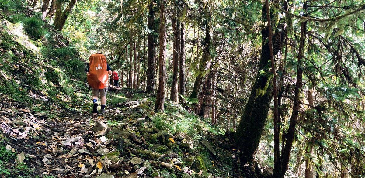 要穿登山鞋、越野跑鞋還是雨鞋?