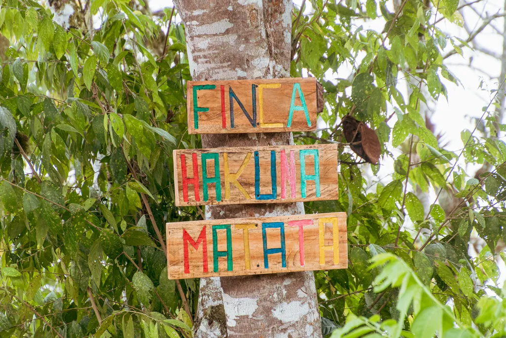02_Maputo_Fram_01