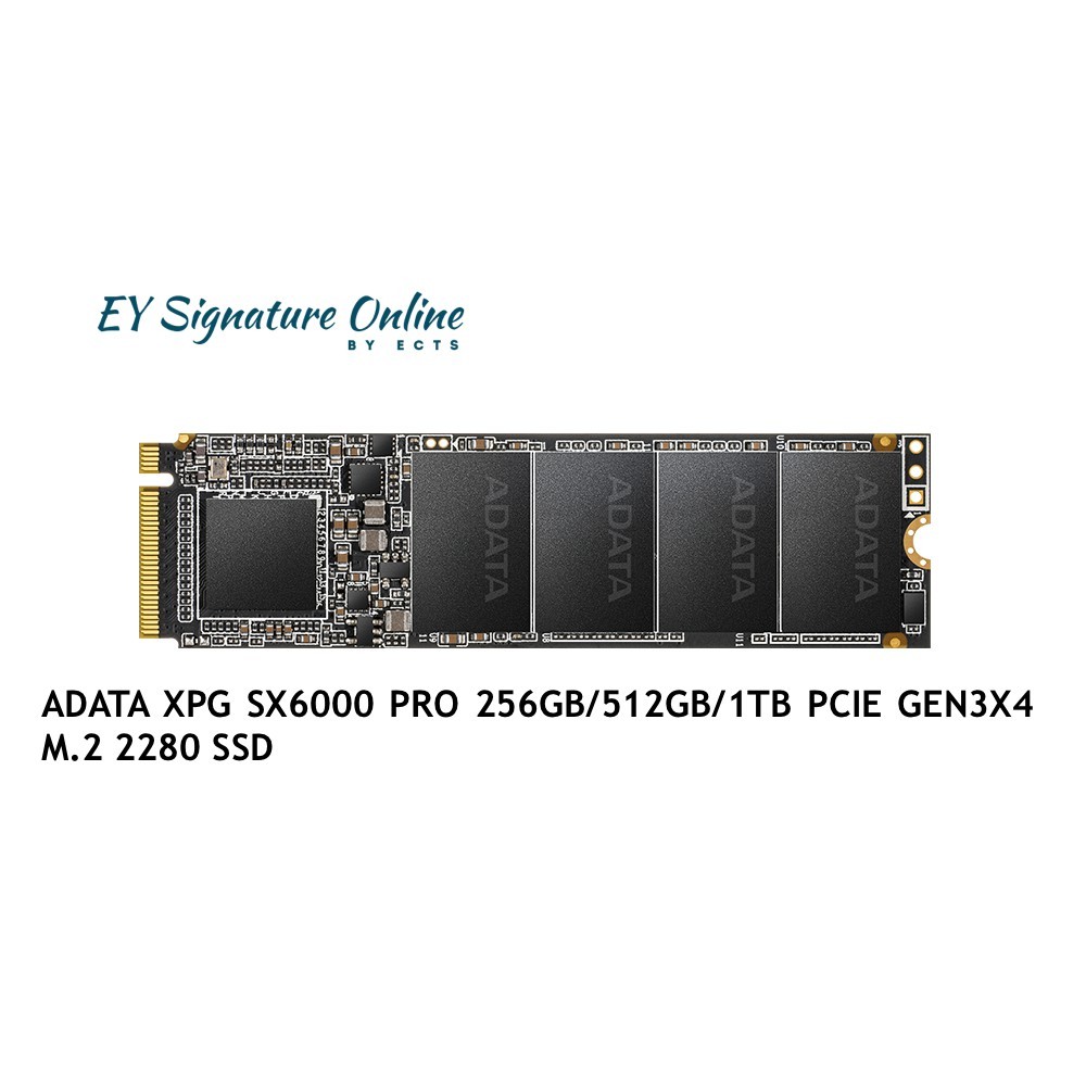 ADATA XPG SX6000 PRO 256GB/512GB/1TB PCIE GEN3X4 M.2 2280 SSD – EY  Signature Online by ECTS