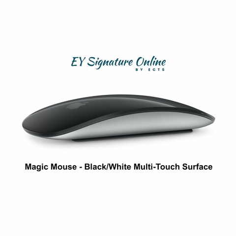 APPLE Magic Mouse - Black/White Multi-Touch Surface (2022)