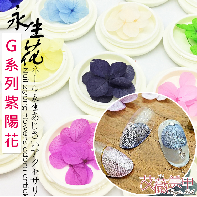 G系列紫陽花(新增顏色)_01.jpg