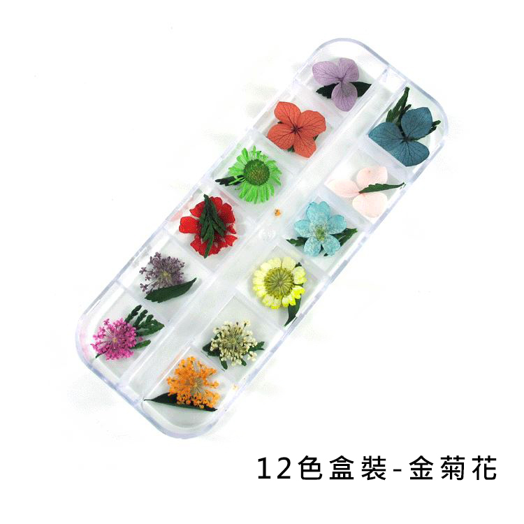 乾燥花12色盒裝_03.jpg