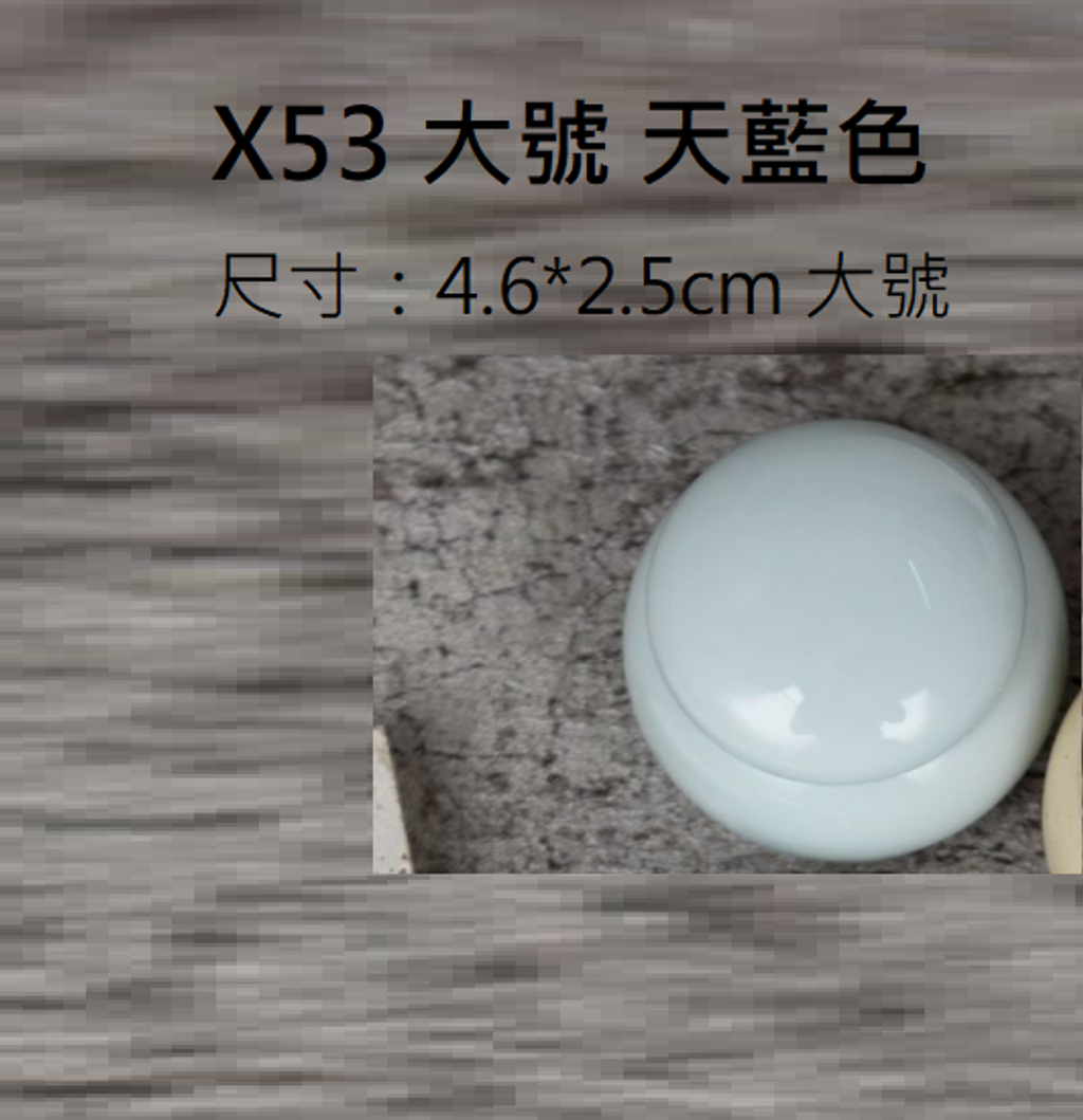 X53 大號 天藍色