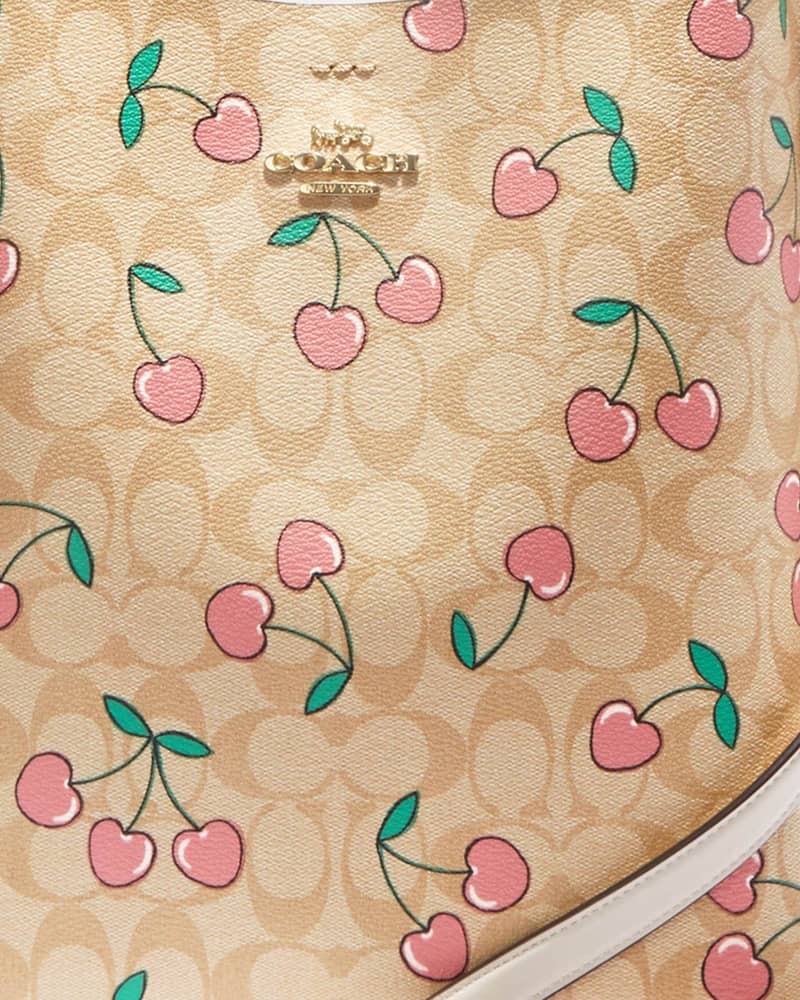 COACH®  Mollie Bucket Bag In Signature Canvas With Heart Cherry Print