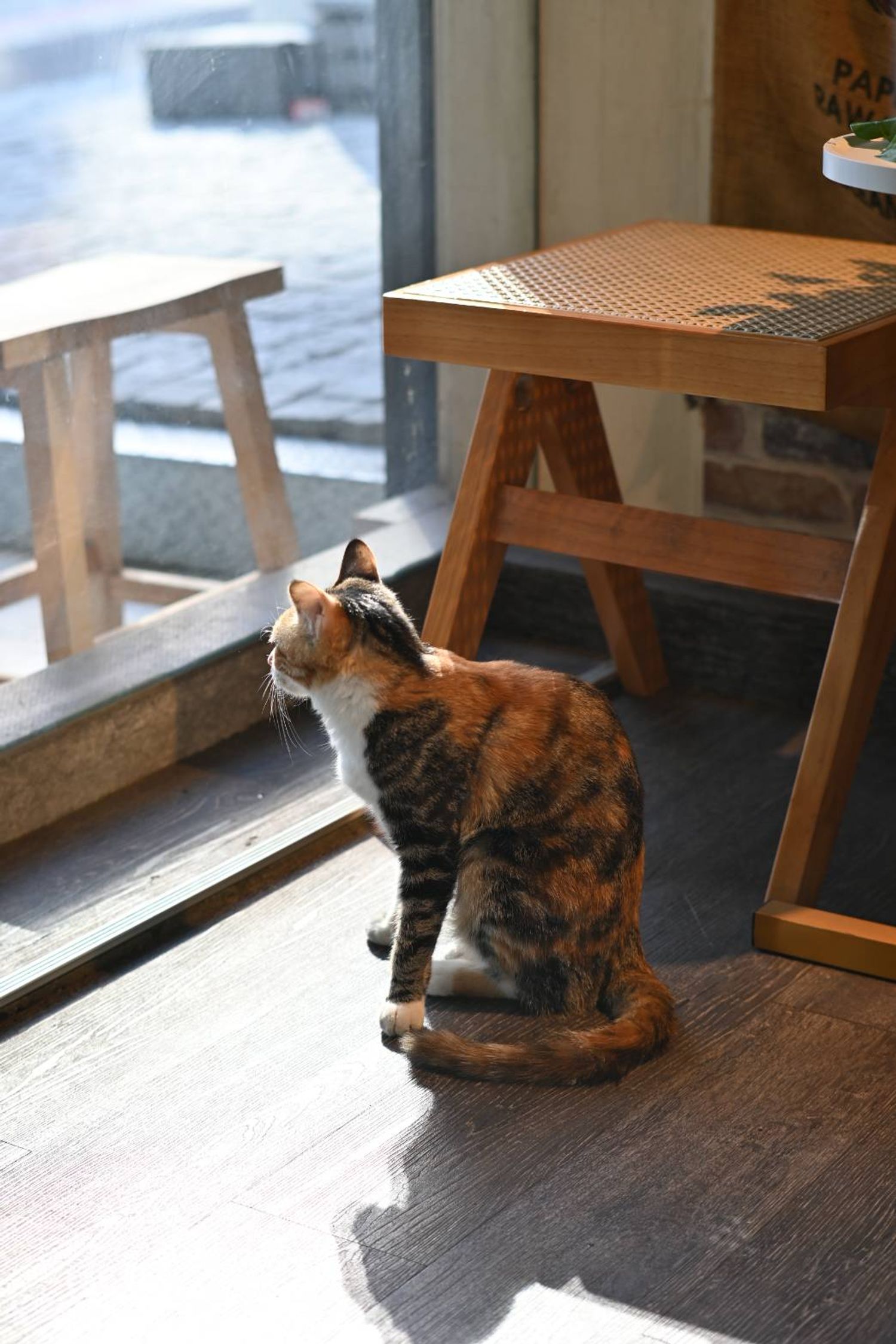 Condor cafe 康朵咖啡 烘焙豆專賣 | 