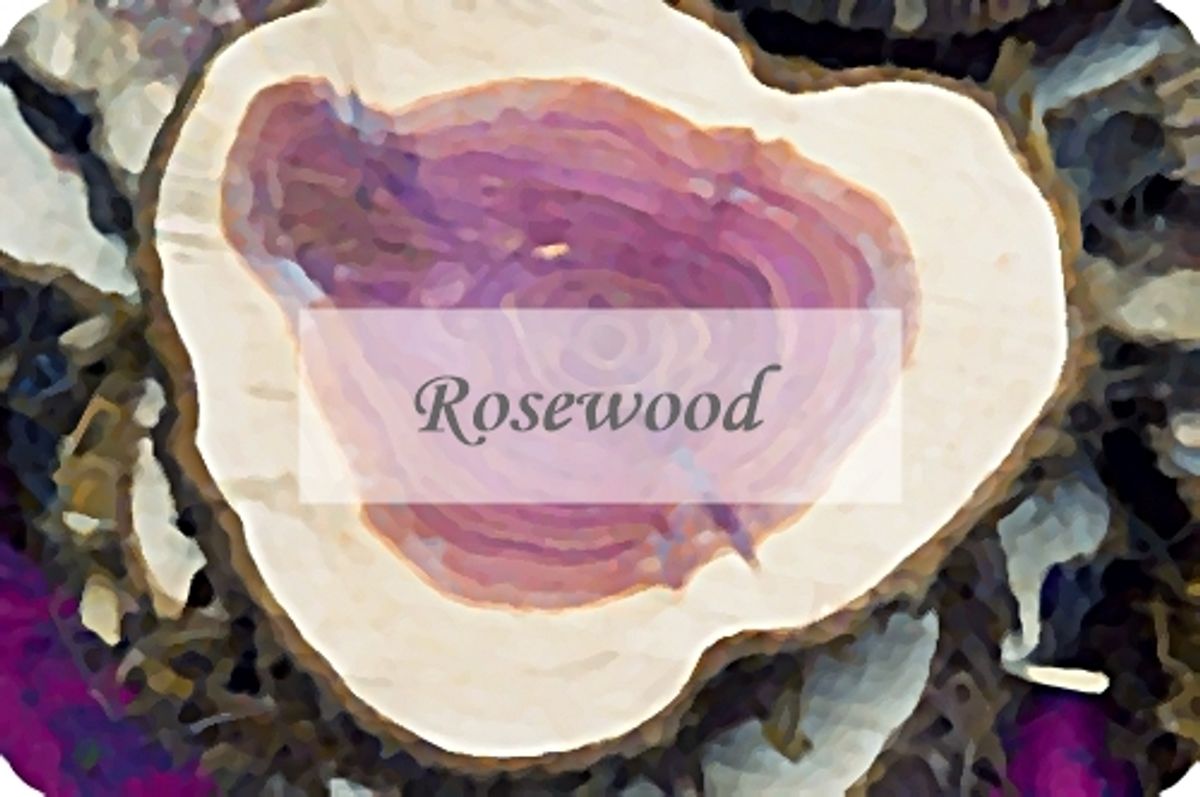 花梨木rosewood 滋養心輪 星宙未來