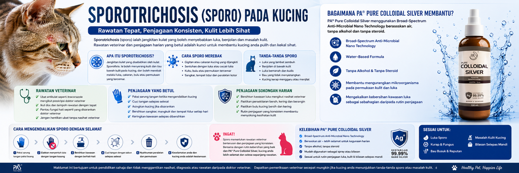 Sporotrichosis (Sporo) pada Kucing