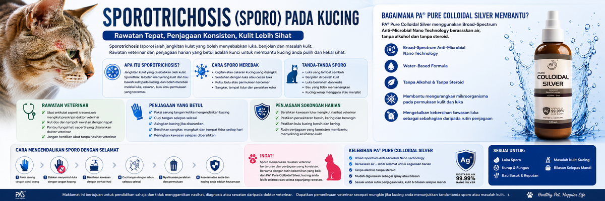 Sporotrichosis (Sporo) pada Kucing