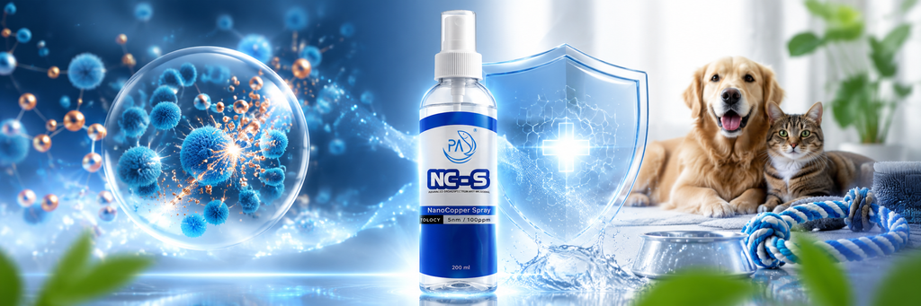 Nano Copper: A New Generation of Anti-Fungal Technology