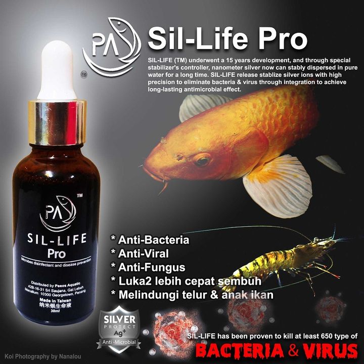 SL Pro ads 1 aug 2019.jpg