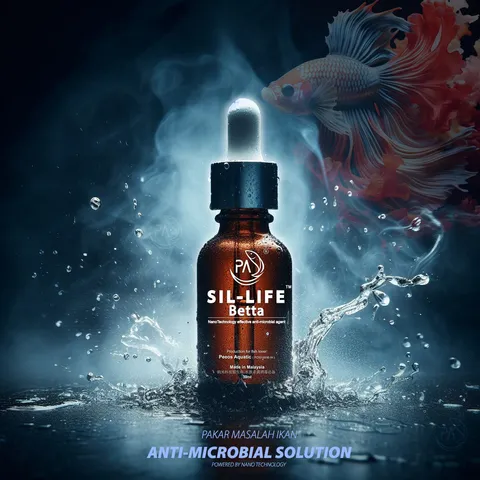 Betta Bing 001