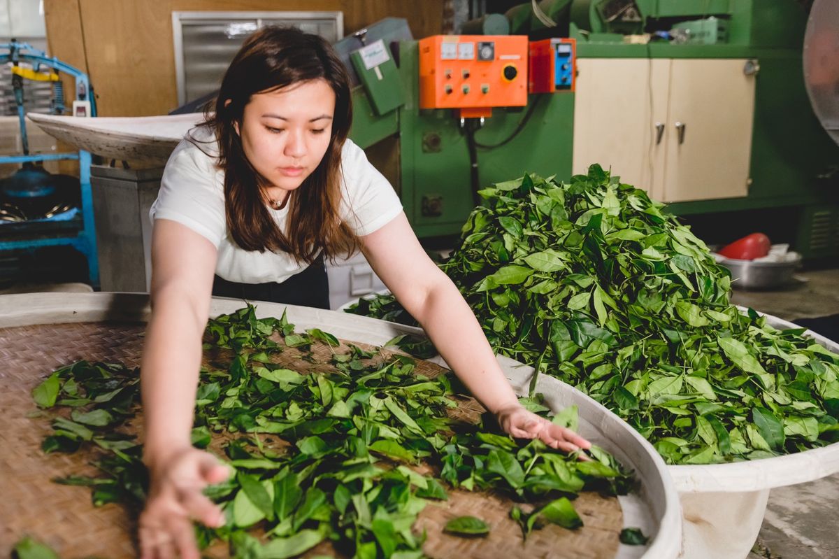 茗品茶業商行 | 茗 品 茶 業 商 行