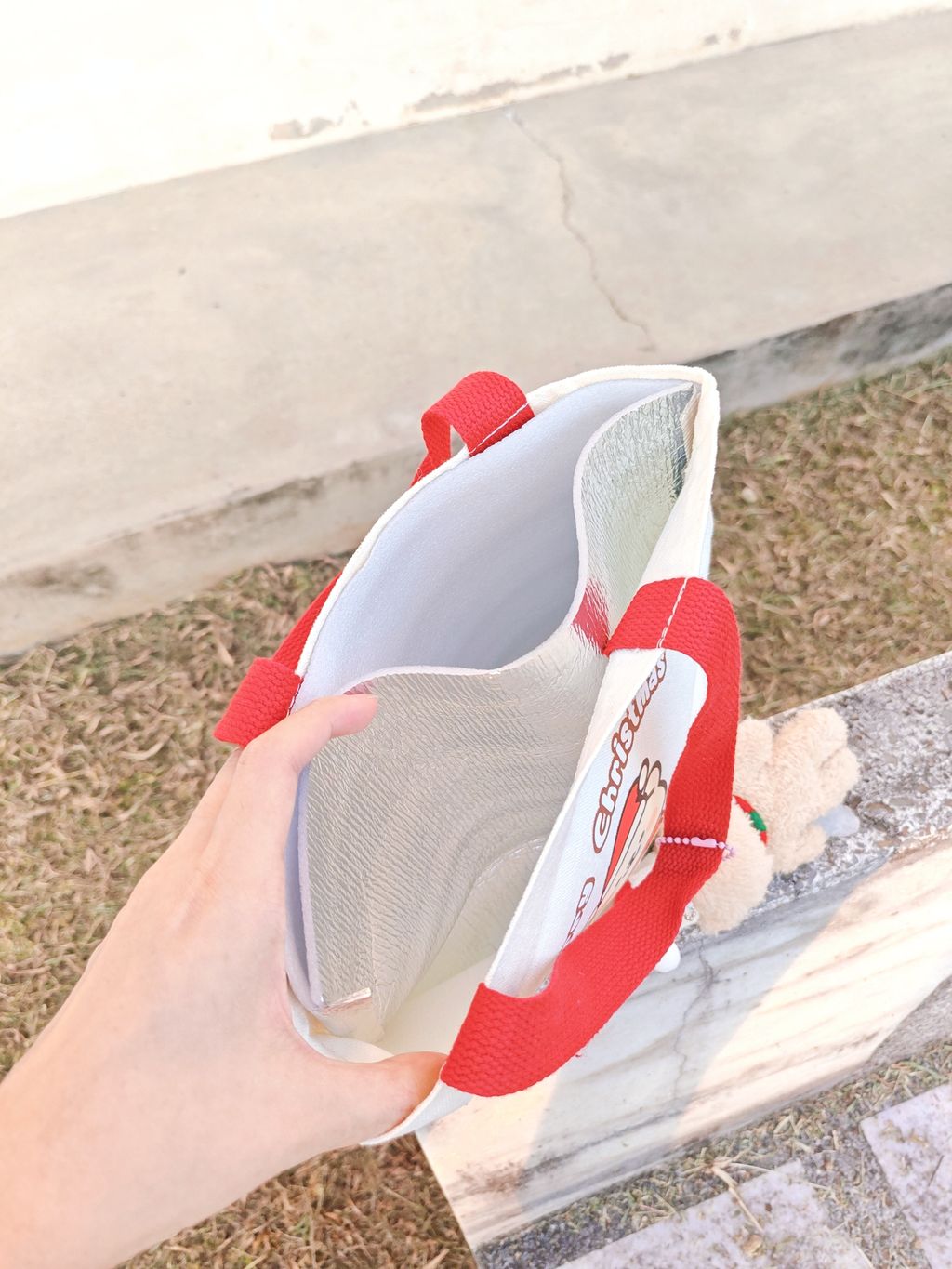 SNOW_20251101_184124_821