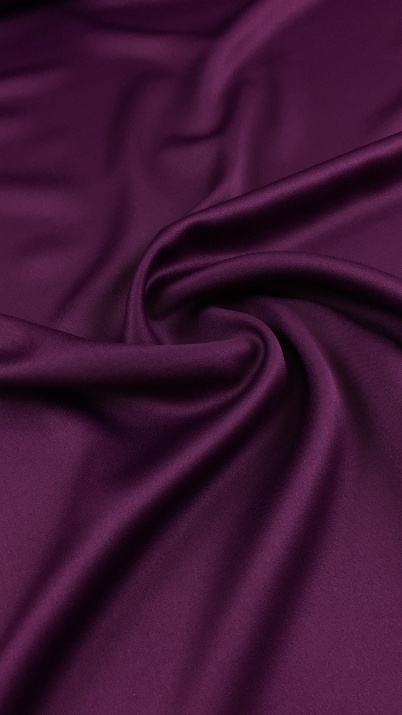 21 plump purple (1).JPG