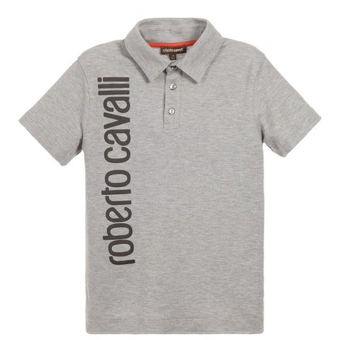 Roberto Cavalli - Polo Shirt - Grey 1164.JPG