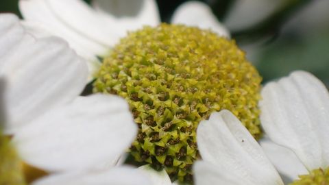 P7160460